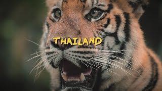 AMAZING THAILAND - A Jakob Owens Film