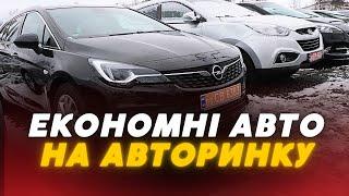 ЕКОНОМНІ моделі машин на Луцькому АВТОРИНКУ: ЦІНИ, ВИБІР