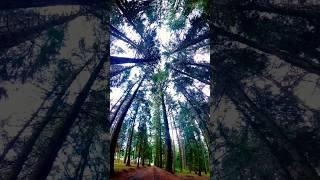 #nature #shortvideo #photography #photooftheday