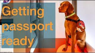 Sailing With A Dog (Pet Passport)