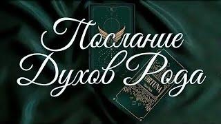 ПОСЛАНИЕ ДУХОВ РОДА  напутствие АРХАНГЕЛА МИХАИЛА ДЛЯ ТЕБЯ ВОЙН СВЕТА ️