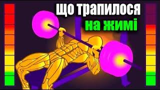 ЩО СТАЛОСЯ ПІД ЧАС ЖИМУ ?