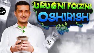 Urug‘ni foizini oshirish uchun nima qilish kerak? (4K)