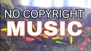 No copyright music || #music #nocopyrightmusic @Nocopiright