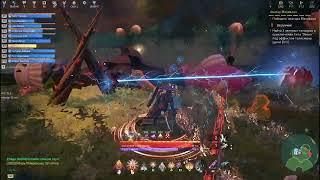 Skyforge Б2 чемп