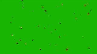 4K, Falling Leaves Green Screen, Autumn Leaves, UHD.