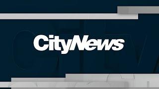 Watch CityNews Toronto, the winner of Best Local Newscast at the 2020 Canadian Screen Awards