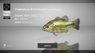 Fishing Planet - Как и где ловить Баса на озере Эверглэйдс?