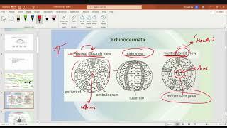 Paleontology Previous year Q&A and Numerical class video-5: BRAHMASTRA (Hinglish)