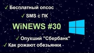 WiNEWS №30: бесплатный оператор связи