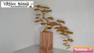 ViktorsBonsai "Goldstar-1", drahtbaum kaufen, Baum aus Draht,  Bonsai aus dem Draht.