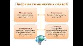 Обменные процессы в организме AVI