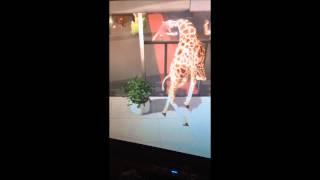 Twerking Giraffe.