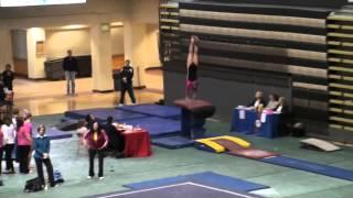 Ashley Fischer Region 4 Gymnastics Vault 4-12-13