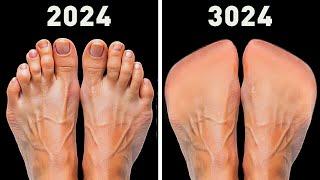 Evolution of Human Feet: Toeless Feet and Future Body Changes