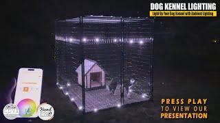 Smart Lighting for Dog Kennels