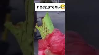 Предатель 