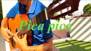 Pica pica - Vals Venezolano(YOMusic)