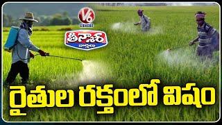 Farmers' Blood Contaminated with Harmful Pesticides | V6 Teenmaar