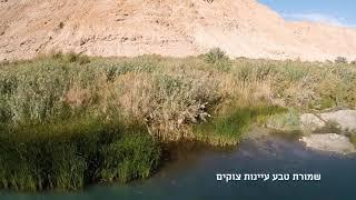 עינות צוקים / Einot Tsukim, Judean Desert