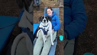 Here are our top 5 tips for keeping your dog cozy and warm while camping! ️ #DogCamping