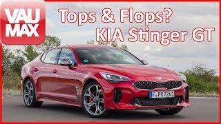 Endlich im Stinger-Club - Tops & Flops des KIA Stinger GT | 3.3-Liter-V6 Benziner?