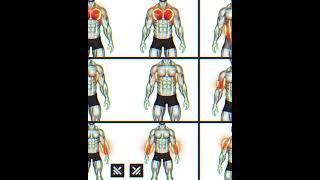 Full body workout at Home. stay strong stay with muscle boaster #Fitnesstube #fitness