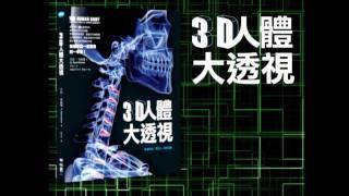 《3D人體大透視》