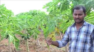 Farmer Experience with ABF Biotech-KISAN Hub