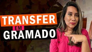 VOCÊ PRECISA saber disso para conseguir chegar a GRAMADO!#gramado #transfer #canela #serragaucha