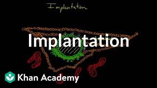 Implantation | Behavior | MCAT | Khan Academy