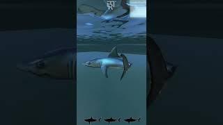 COPPERCUBE 6.5.1 | SHARK ATTACK (DEEP BLUE SEA) Level Demo (WHATCH THIS) #coppercube6