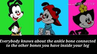 Animaniacs bones in the body with lyrics