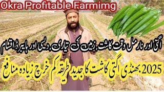 Ladyfiner(bhindi)Profitable farming using Modren Methods of Cultivation|Okrafarming2025|Majidaliagri