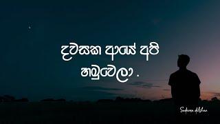 "පාළුව රජකරනා" Paluwa Rajakarana - Sudeera Dilshan (Dawasaka Aye Api Hamuwela) lyrics video