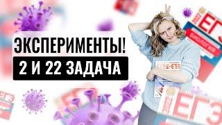 Эксперименты! 2 и 22 задачи | Биология ЕГЭ 2022