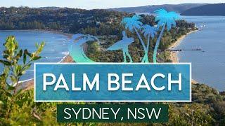 [4k] Palm Beach | Sydney, NSW