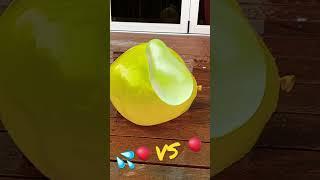 Water Balloon VS Big Balloon Filled With Water