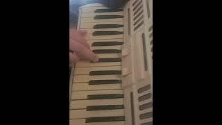 Salut JOE DASSIN cover accordion