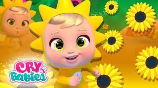  SUNNY THE HAPPIEST  LITTLE CHANGERS ️ ECO Series ️ COLLECTION  CARTOONS for KIDS in ENGLISH