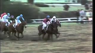 Velká Pardubická 1981 Sagar (Pavel Liebich)