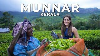 Munnar, Suryanelli Kerala in the Monsoon! The best vlog I've ever made | #WeekendTrips India