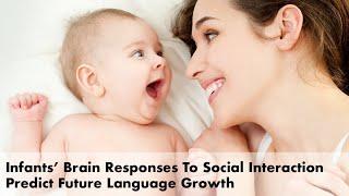 Infants’ Brain Responses To Social Interaction Predict Future Language Growth