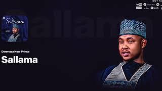 Danmusa New Prince Sallama (Audio Music) 2024