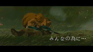 "For Our Friends" Zelda BotW Combat Montage