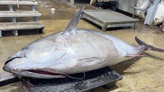 What Selling Bluefin Tuna is ACTUALLY Like (The REAL Wicked Tuna)