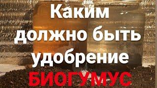 ПАН129 УДОБРЕНИЕ Биогумус вермикомпост какое лучшее органическое удобрение? Получение