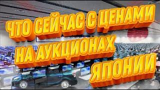 Что сейчас с ЦЕНАМИ НА АУКЦИОНАХ ЯПОНИИ, стало дешевле?