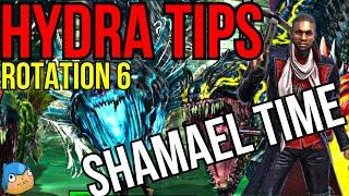 HYDRA 101 TIPS AND BREAKDOWN ANALYSIS ROTATION #6 SHAMAEL MAKES IT EASY! | Raid: Shadow Legends