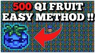 Stardew Valley 1.5 | 0 Effort Method To Get 500 QI Fruit